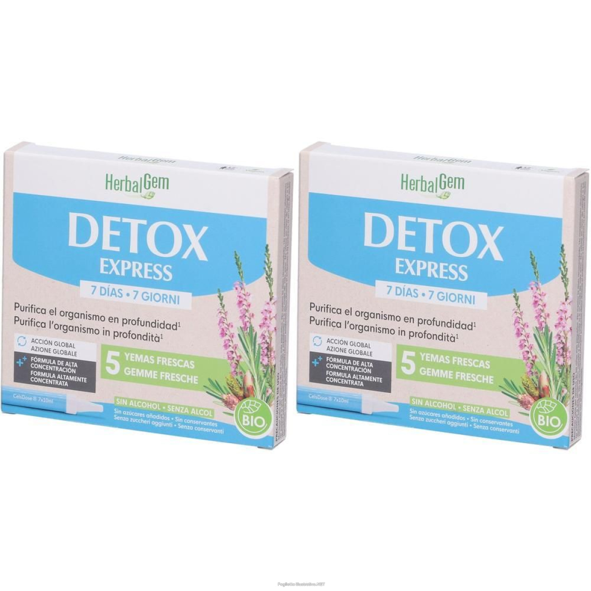 Trova prezzi di herbalgem detox express trattamento 7 giorni fiale 2x70 ml soluzione o e compra online