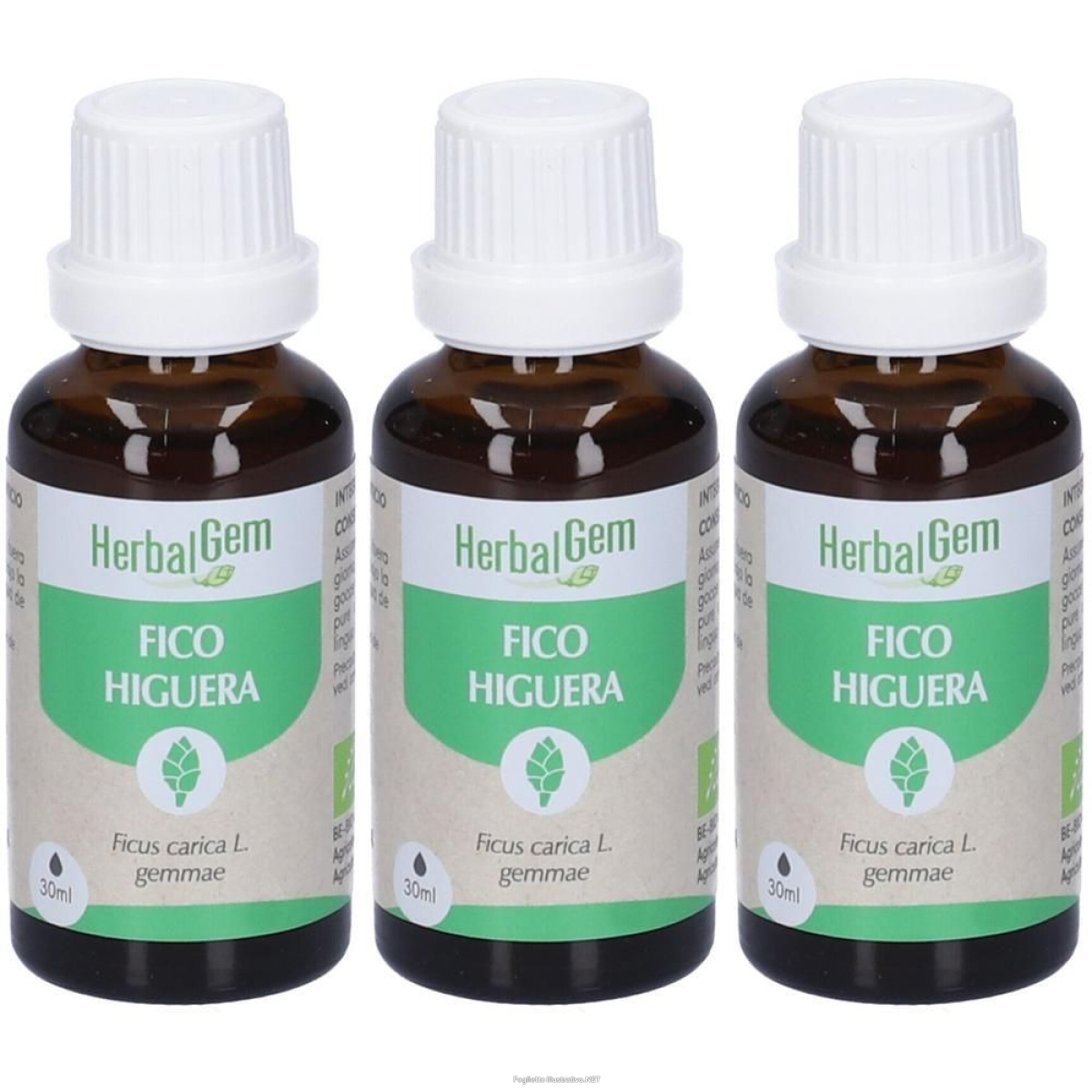 Trova prezzi di herbalgem fico gemme concentrato di fresche gocce 3x30 ml soluzi e compra online