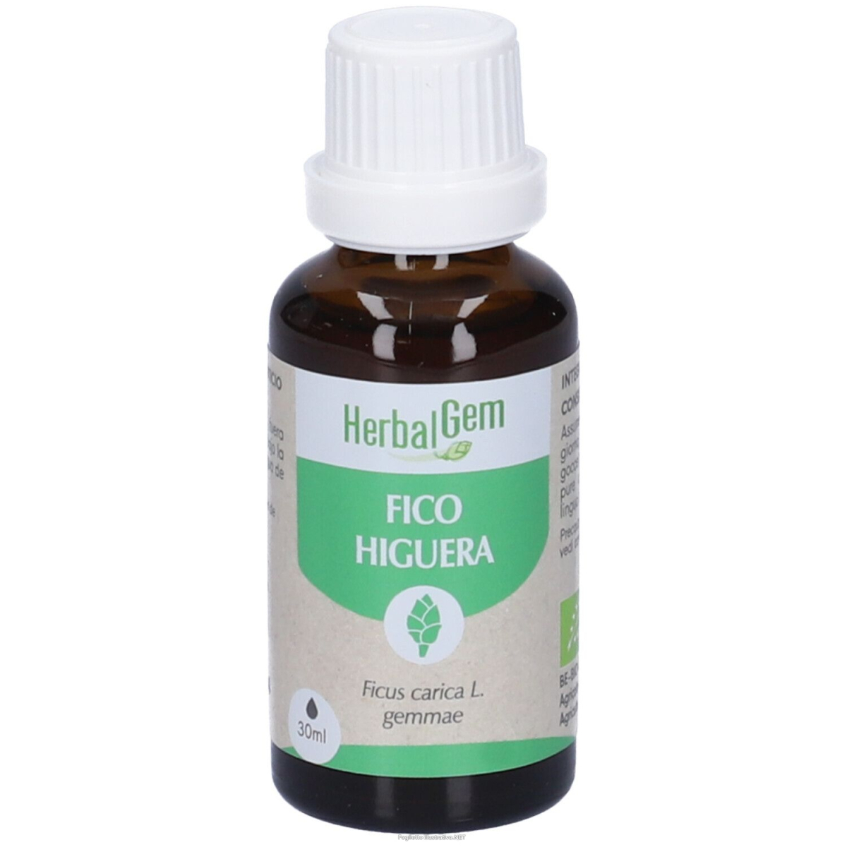 Trova prezzi di herbalgem fico gemme integratore concentrato di gemme fresche 30 ml e compra online