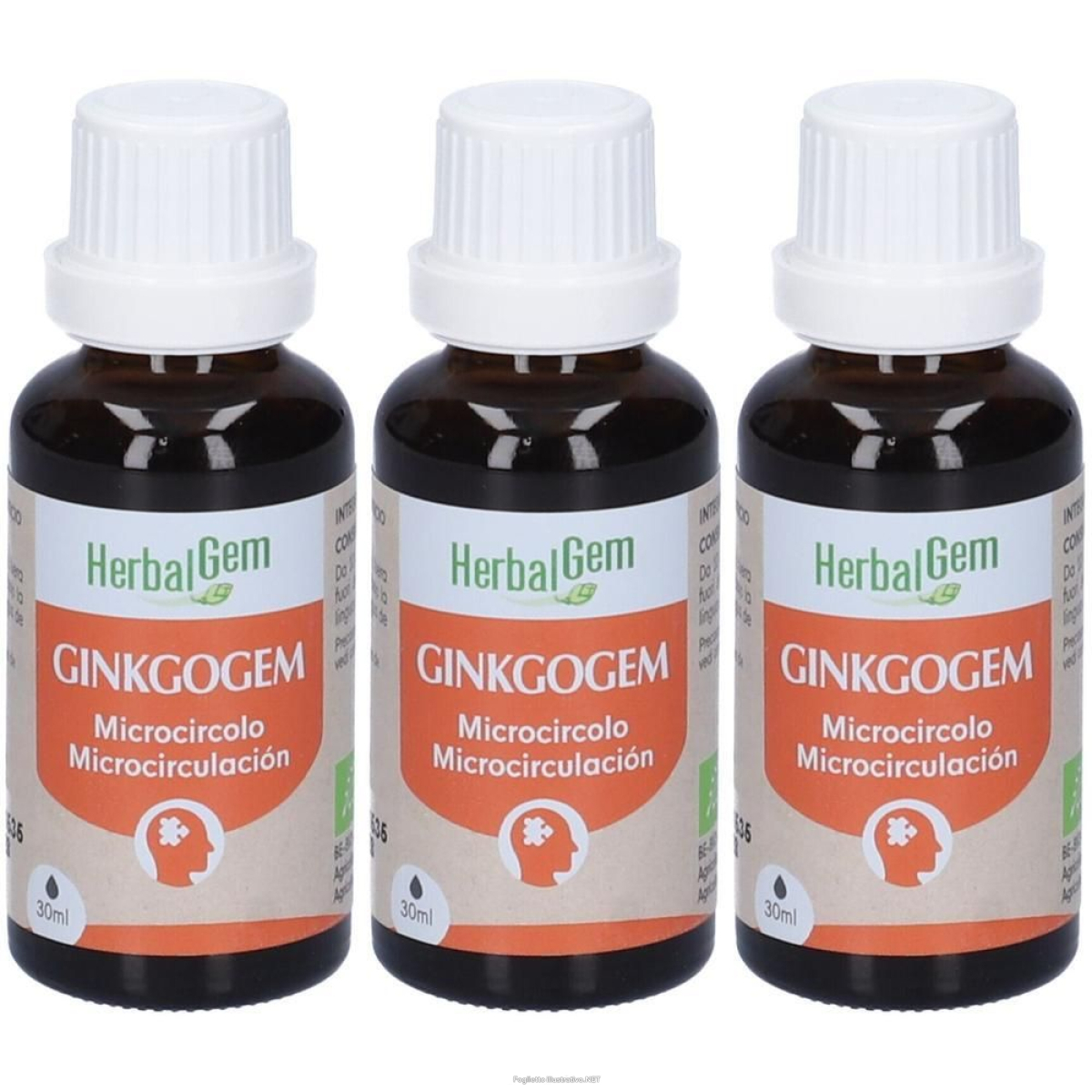 Trova prezzi di herbalgem ginkgogem microcircolo concentrato di gemme fresche gocce 3x e compra online