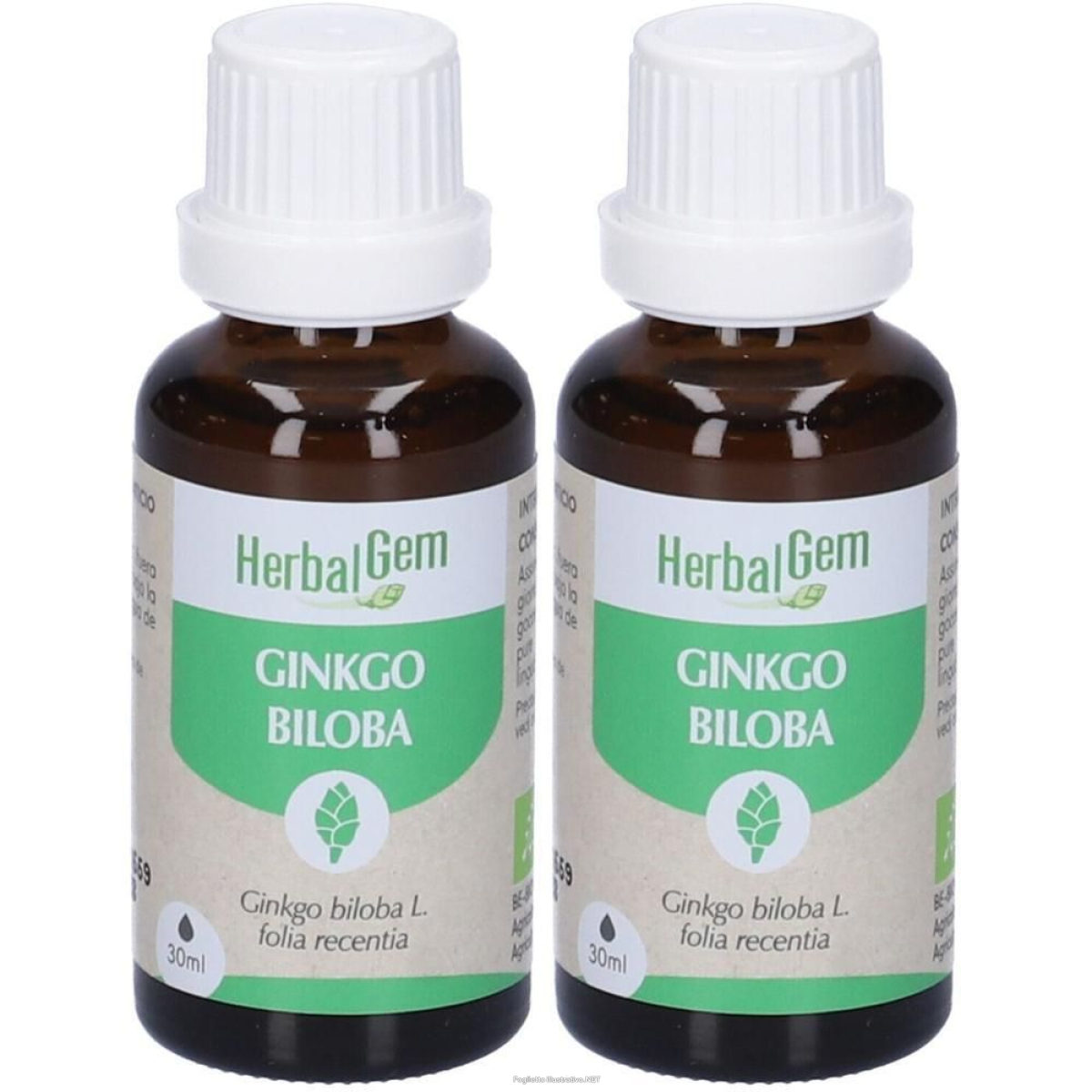 Trova prezzi di Herbalgem Ginko Biloba Giovani Foglie Concentrato di Gemme Fresche Goc e compra online