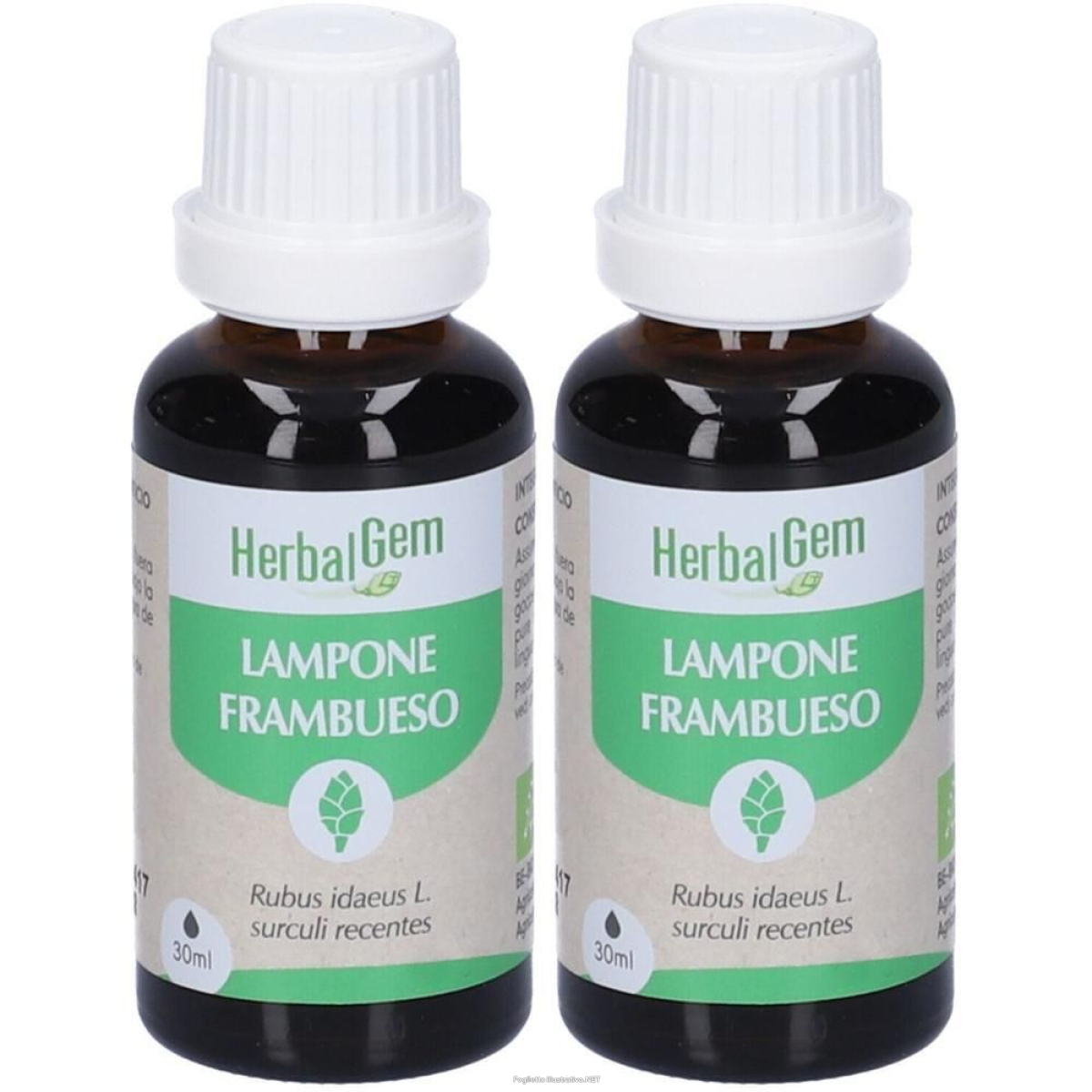 Trova prezzi di herbalgem lampone giovani getti concentrato di gemme fresche gocce 2x3 e compra online