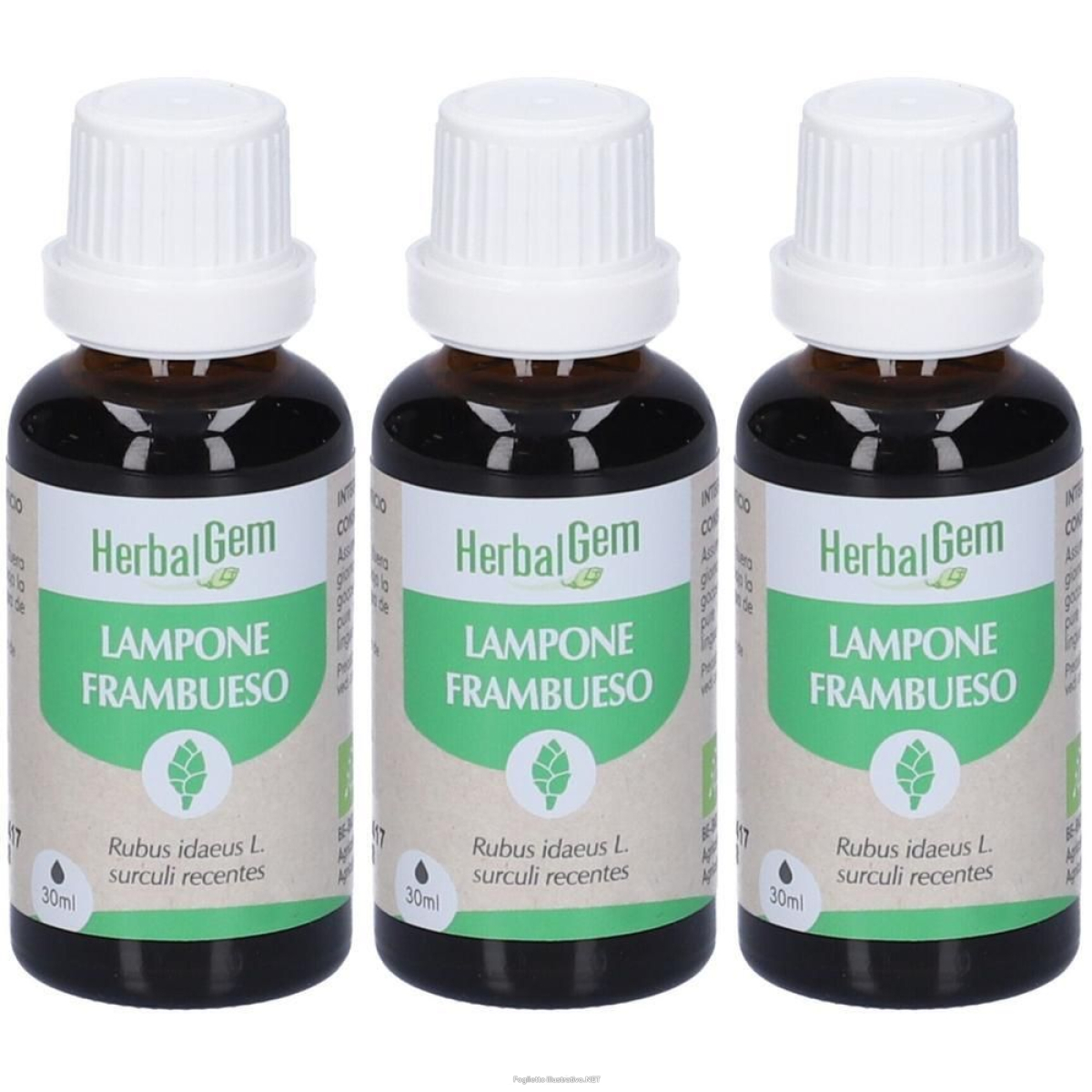 Trova prezzi di herbalgem lampone giovani getti concentrato di gemme fresche gocce 3x3 e compra online