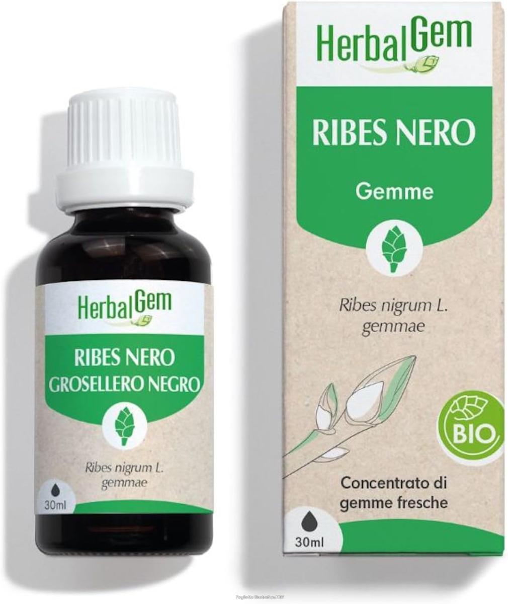 Trova prezzi di herbalgem macerato-madre ribes nero bio integratore gemmoterapia con estratto di gemme fresche per articolazioni, muscoli 30 ml e compra online