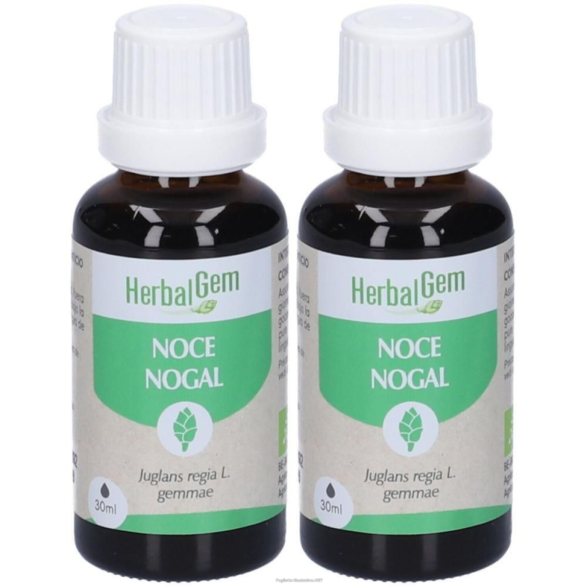 Trova prezzi di herbalgem noce gemme concentrato di fresche gocce 2x30 ml soluzi e compra online