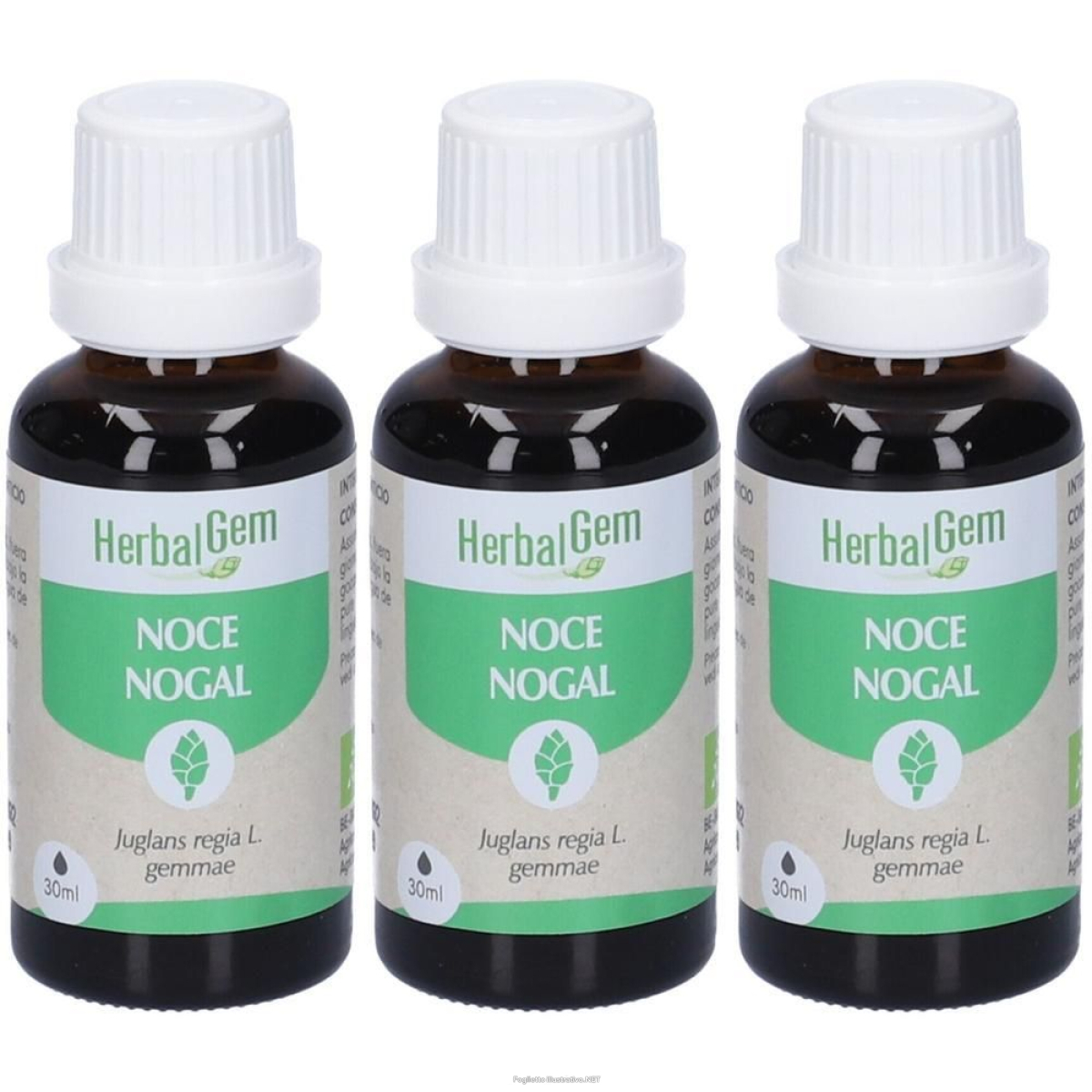 Trova prezzi di herbalgem noce gemme concentrato di fresche gocce 3x30 ml soluzi e compra online