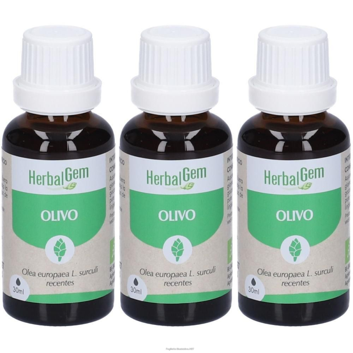 Trova prezzi di herbalgem olivo giovani getti concentrato di gemme fresche gocce 3x30 e compra online