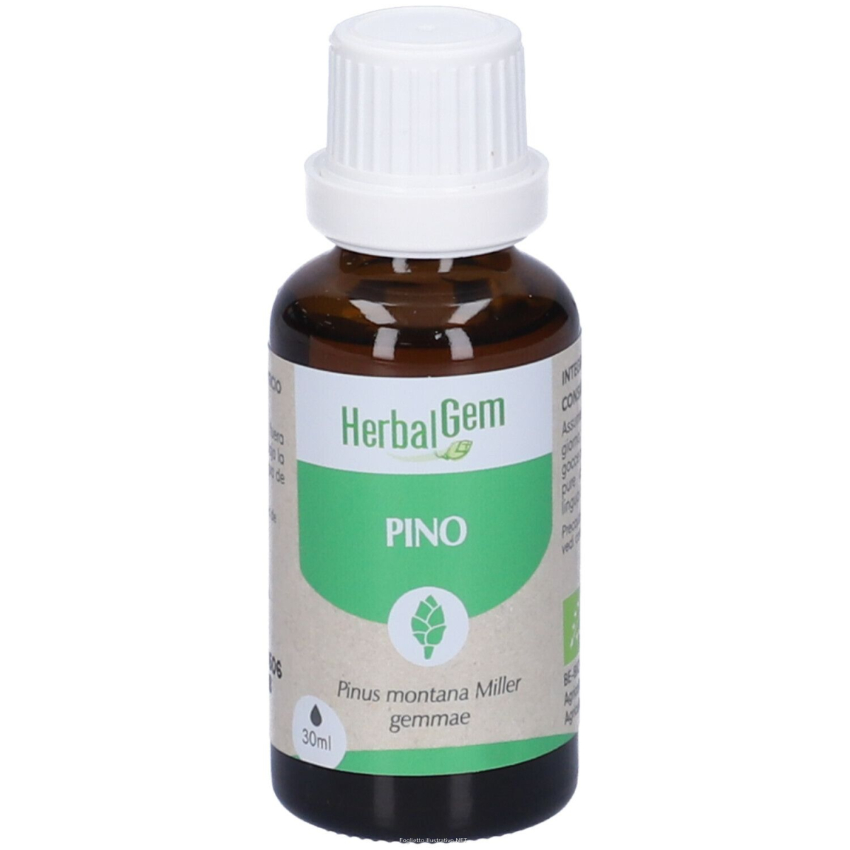Trova prezzi di herbalgem pino gemme concentrato di fresche gocce 30 ml soluzion e compra online