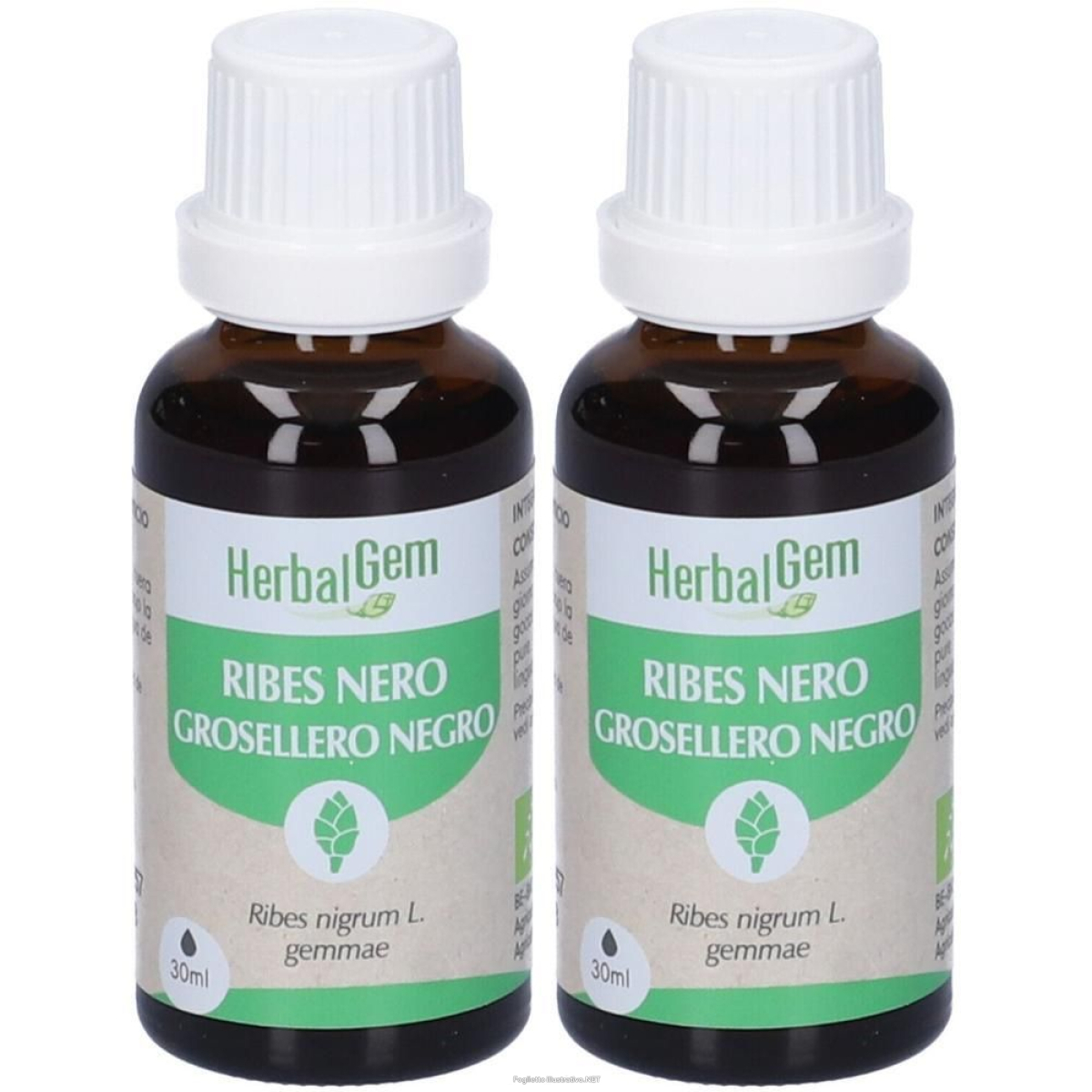 Trova prezzi di herbalgem ribes nero gemme bio gocce 2x30 ml soluzione orale e compra online