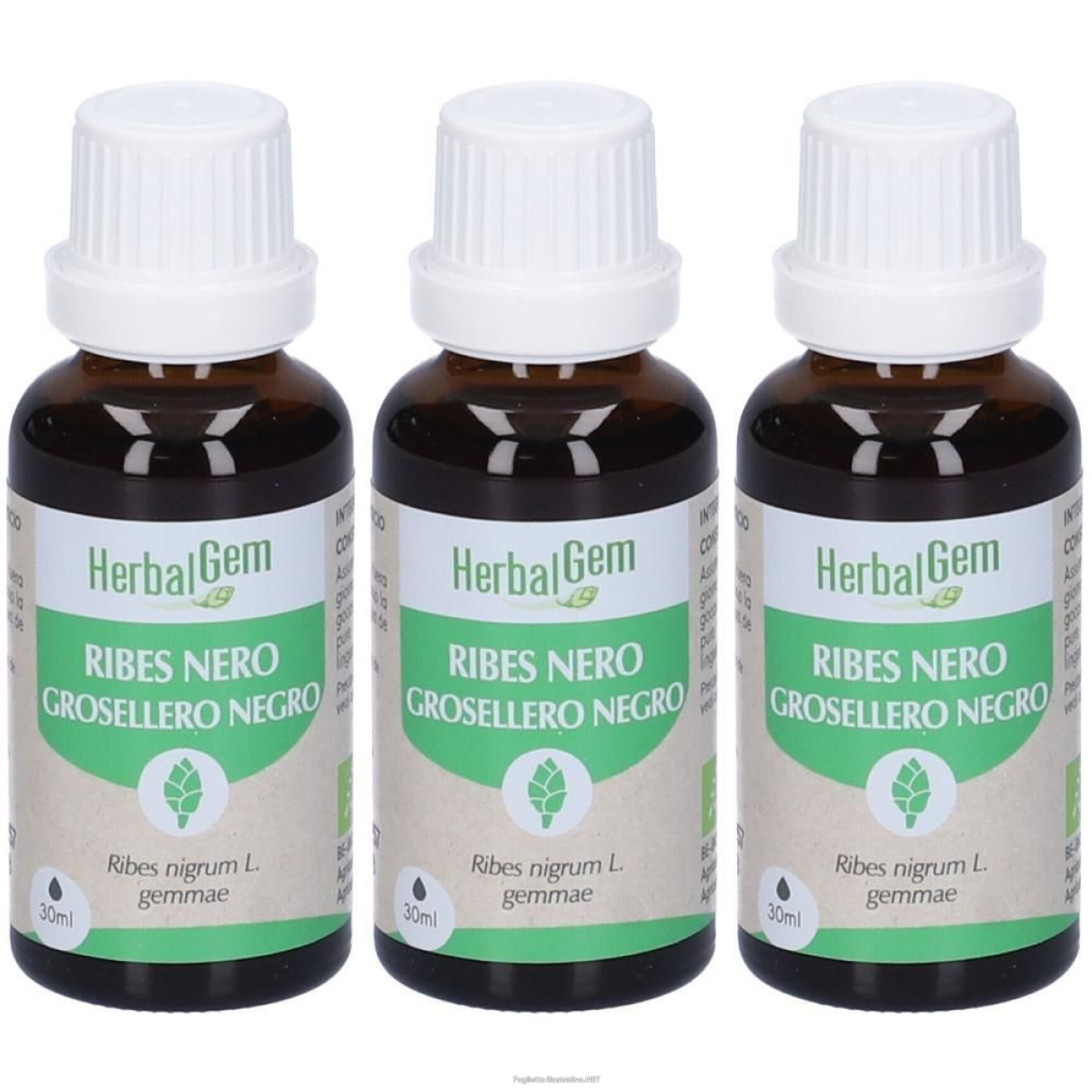 Trova prezzi di herbalgem ribes nero gemme bio gocce 3x30 ml soluzione orale e compra online