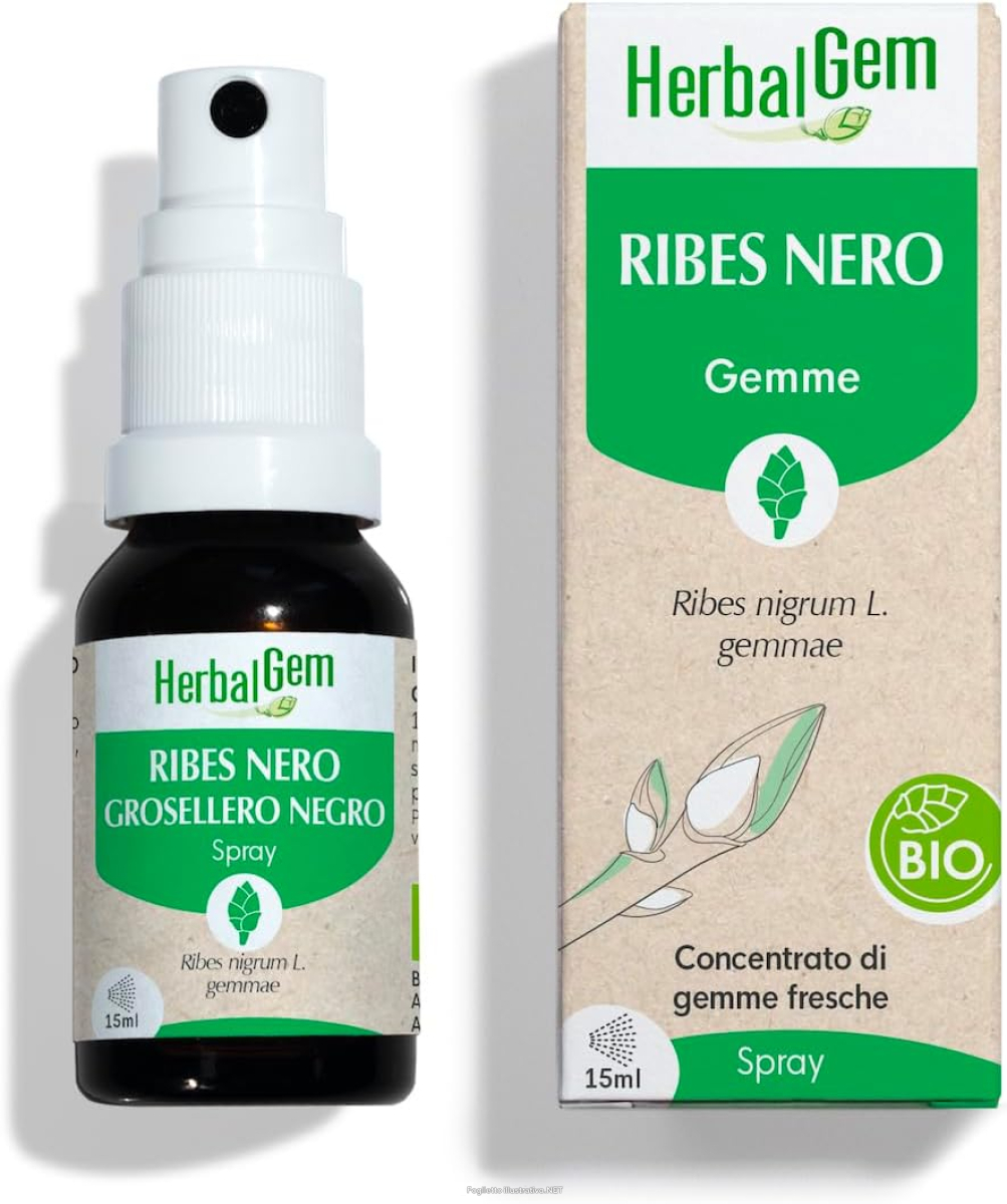 Trova prezzi di herbalgem ribes nero gemme concentrato di fresche gocce 15 ml sp e compra online