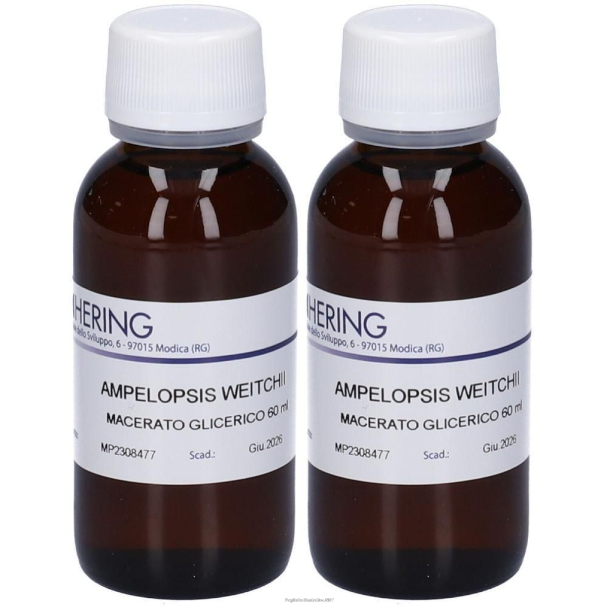 Trova prezzi di hering ampelopsis weitchii germogli macerato glicerico 2x60 ml e compra online