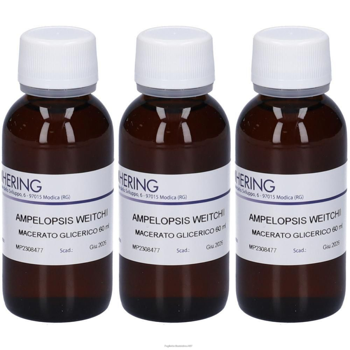 Trova prezzi di hering ampelopsis weitchii germogli macerato glicerico 3x60 ml e compra online