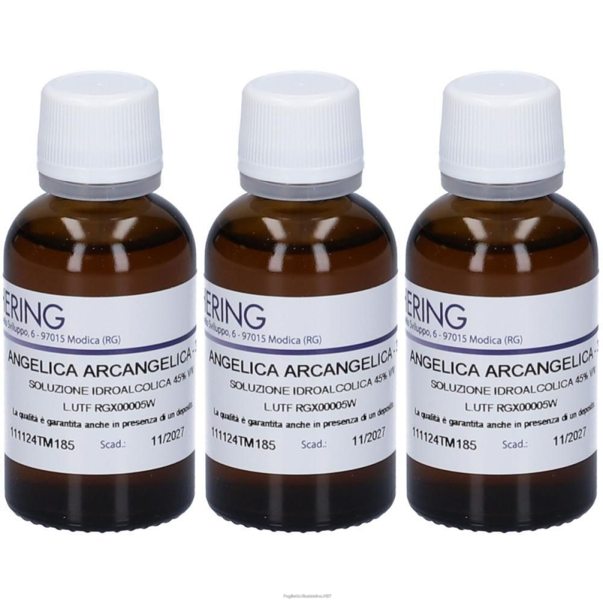 Trova prezzi di hering angelica archangelica tintura madre 3x30 ml e compra online