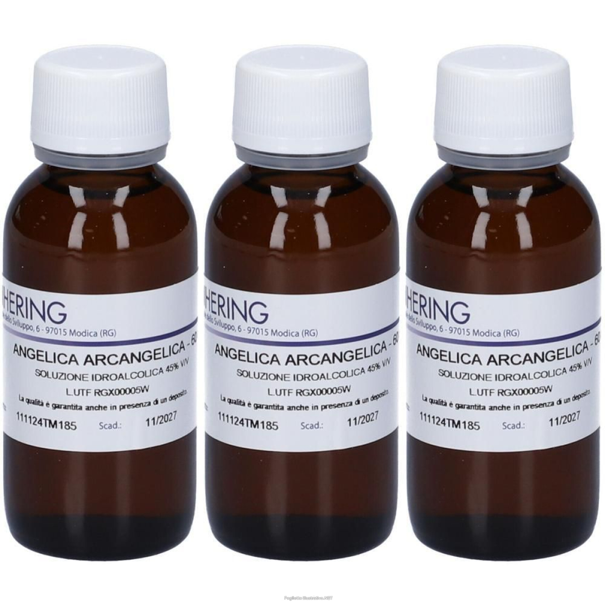 Trova prezzi di hering angelica archangelica tintura madre 3x60 ml e compra online