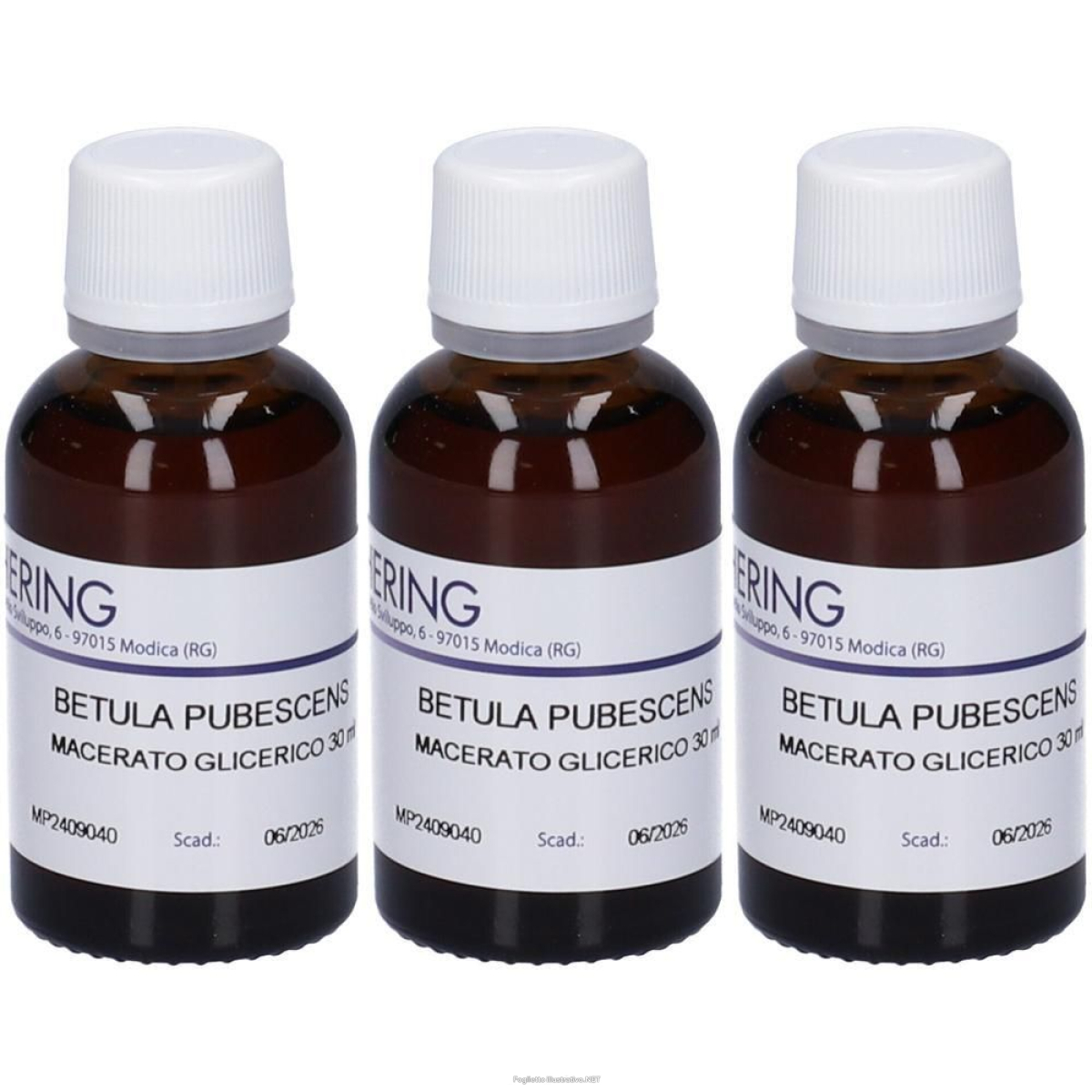 Trova prezzi di hering betula pubescens gemmeme macerato glicerico 3x30 ml e compra online