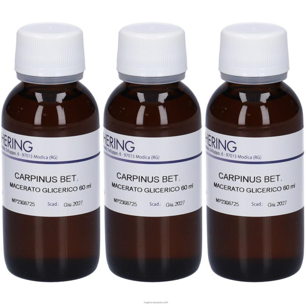 Trova prezzi di hering carpinus betulus gemmeme macerato glicerico 3x60 ml e compra online