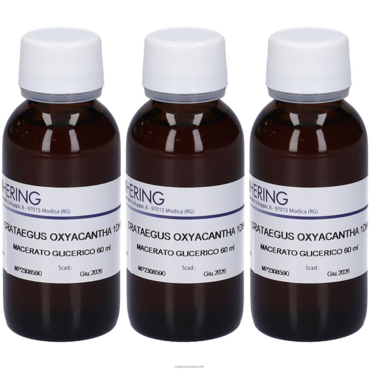 Trova prezzi di hering crataegus oxyacantha macerato glicerico 3x60 ml e compra online