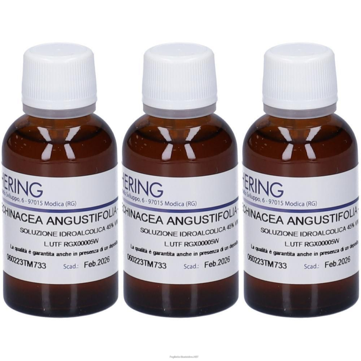 Trova prezzi di hering echinacea angust tintura madre 3x30 ml e compra online
