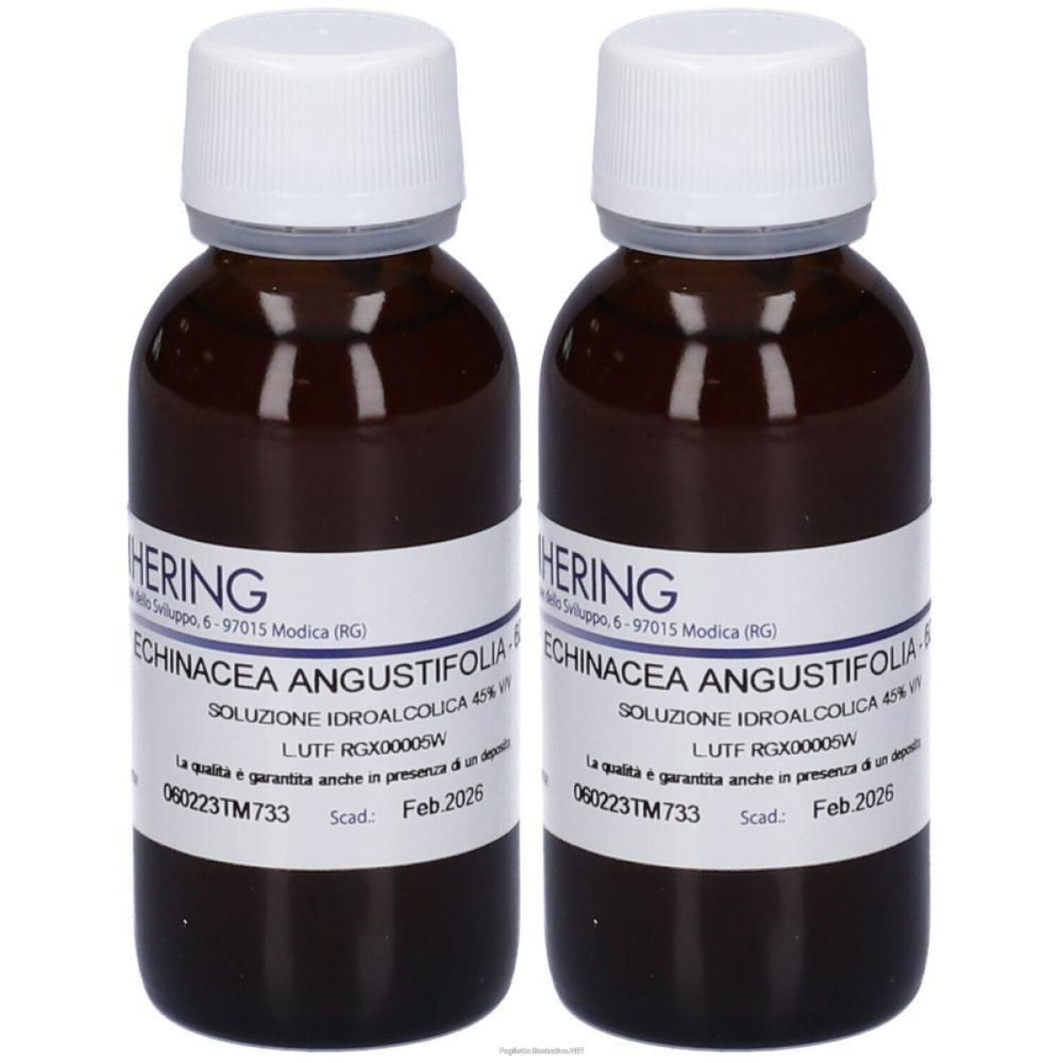 Trova prezzi di hering echinacea angustifolia tintura madre 2x60 ml gocce orali e compra online