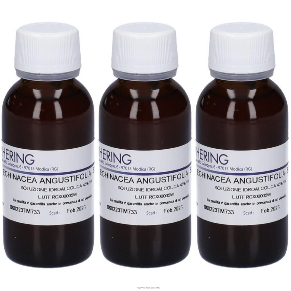 Trova prezzi di hering echinacea angustifolia tintura madre 3x60 ml gocce orali e compra online
