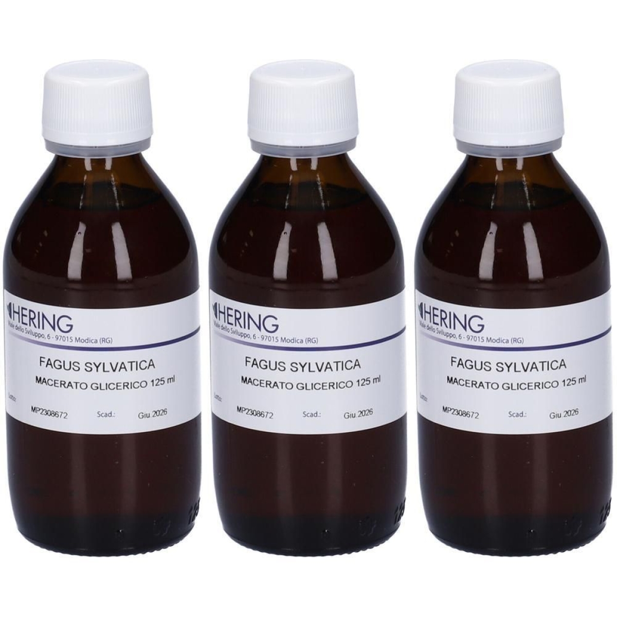 Trova prezzi di Hering fagus sylv macerato glicerico gemme 3x125 ml e compra online