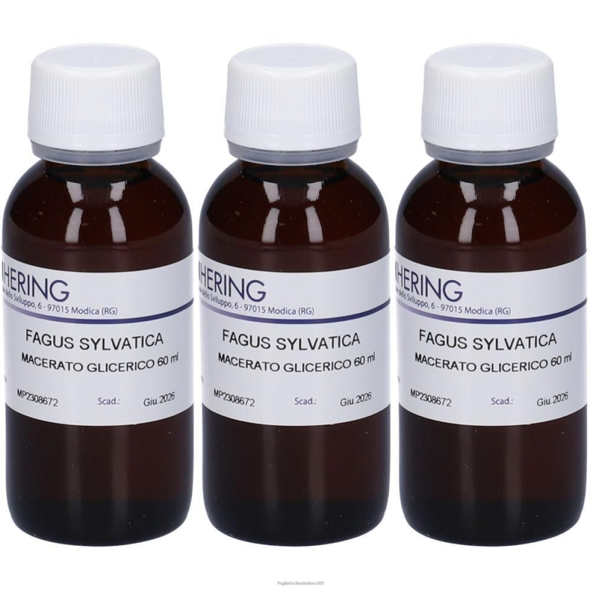 Trova prezzi di hering fagus sylvatica gemmeme macerato glicerico 3x60 ml e compra online