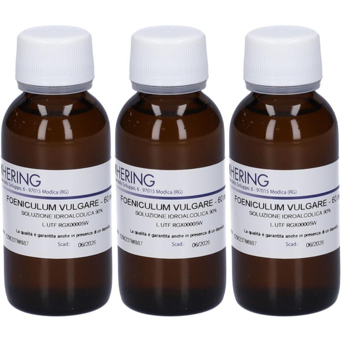 Trova prezzi di Hering foeniculum vulg tintura madre 3x60 ml e compra online