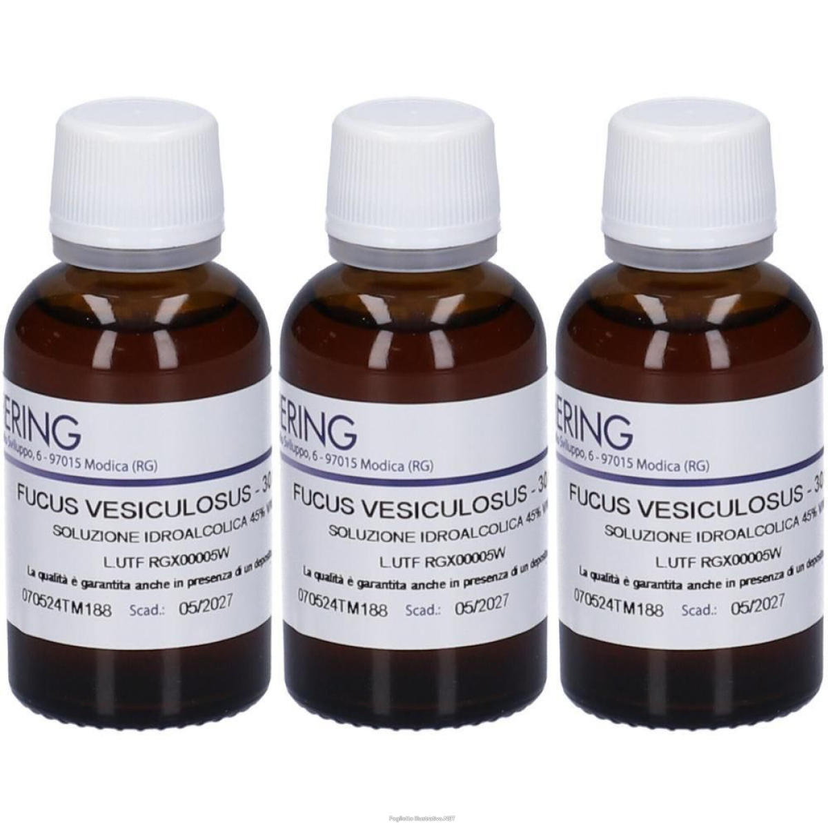 Trova prezzi di hering fucus vesiculosus tintura madre 3x30 ml e compra online