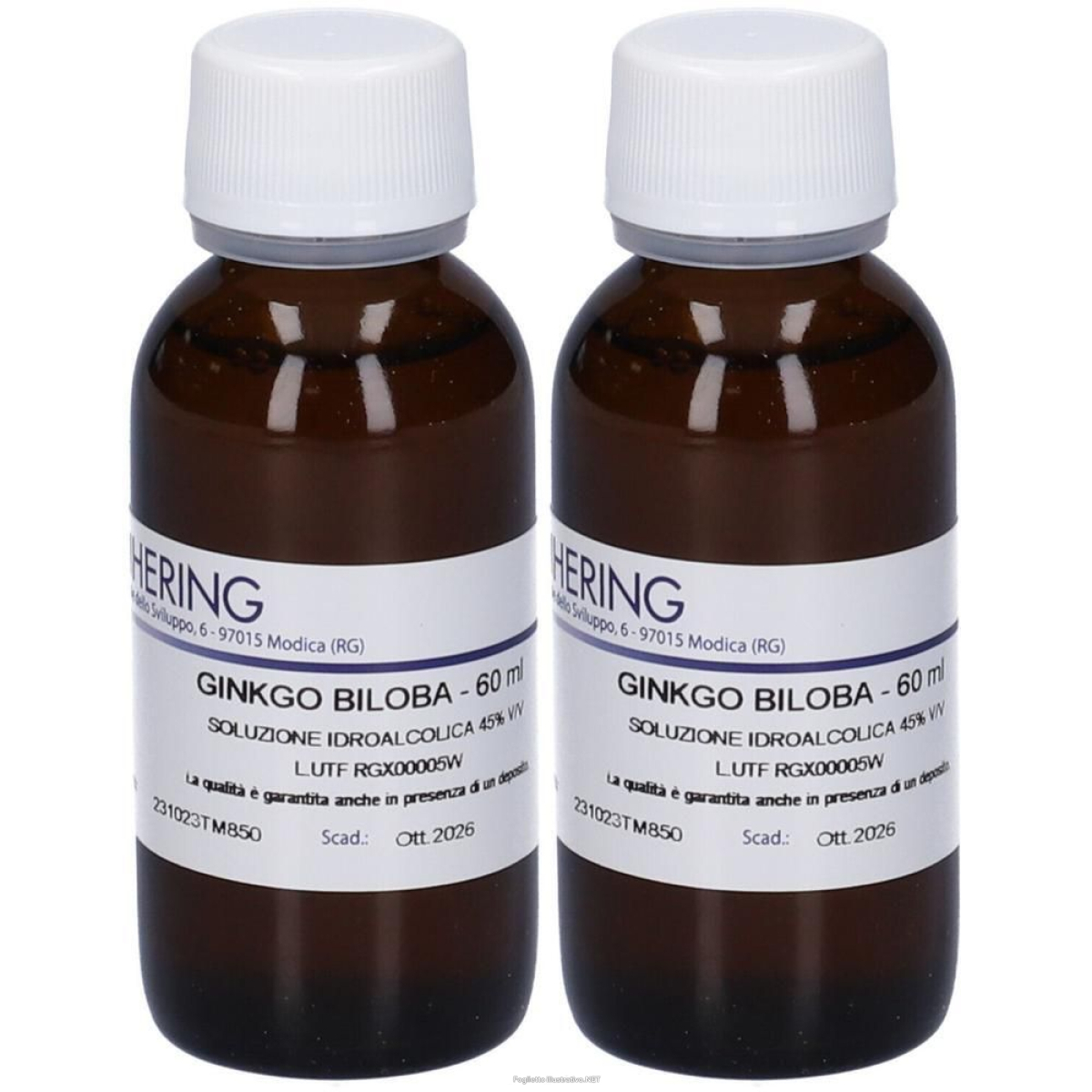 Trova prezzi di hering ginkgo biloba tintura madre 2x60 ml e compra online