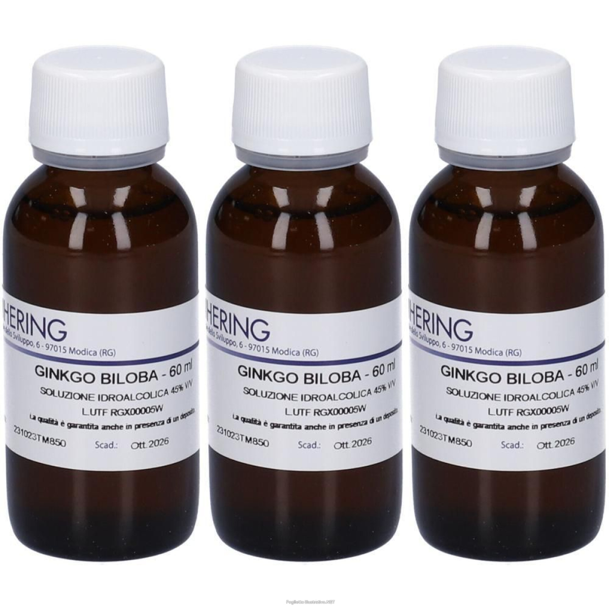 Trova prezzi di hering ginkgo biloba tintura madre 3x60 ml e compra online