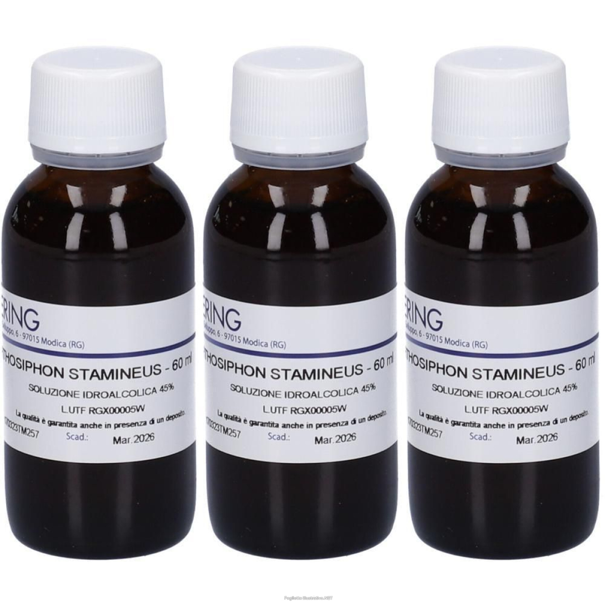 Trova prezzi di hering orthosiphon tintura madre 3x60 ml e compra online