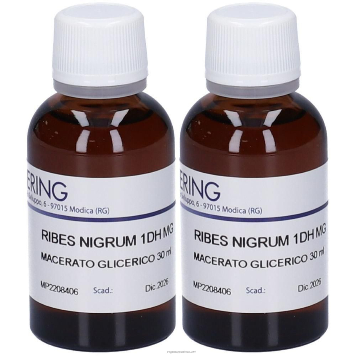 Trova prezzi di hering ribes nigrum gemmeme macerato glicerico 2x30 ml e compra online