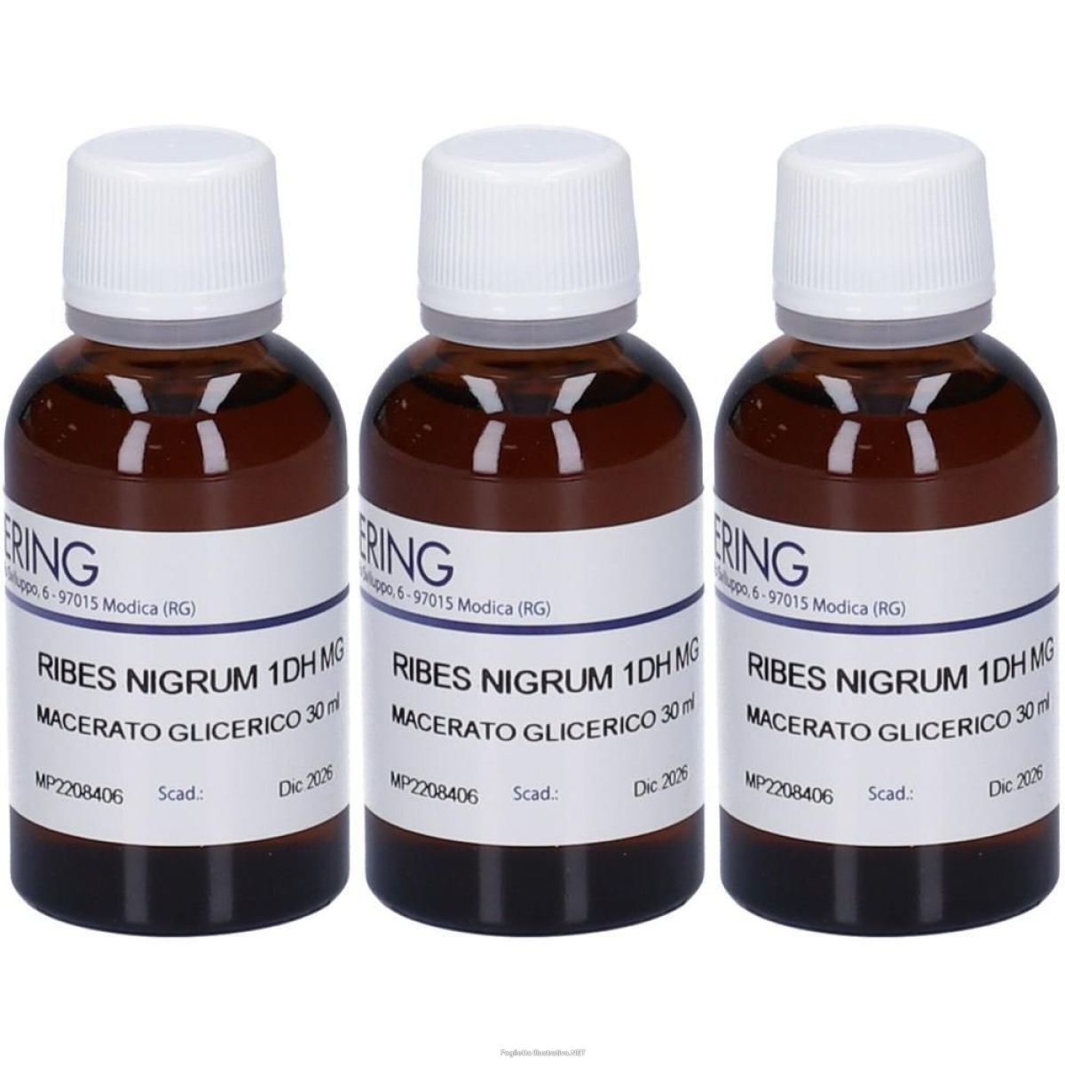 Trova prezzi di hering ribes nigrum gemmeme macerato glicerico 3x30 ml e compra online