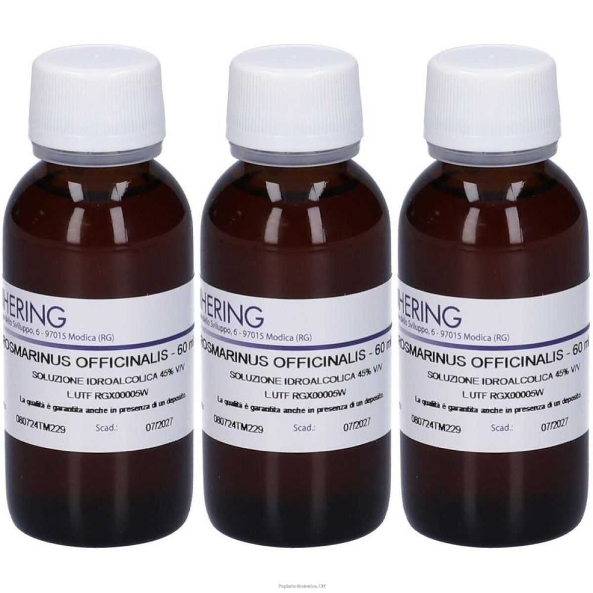 Trova prezzi di hering rosmarinus officinalis tintura madre 3x60 ml e compra online
