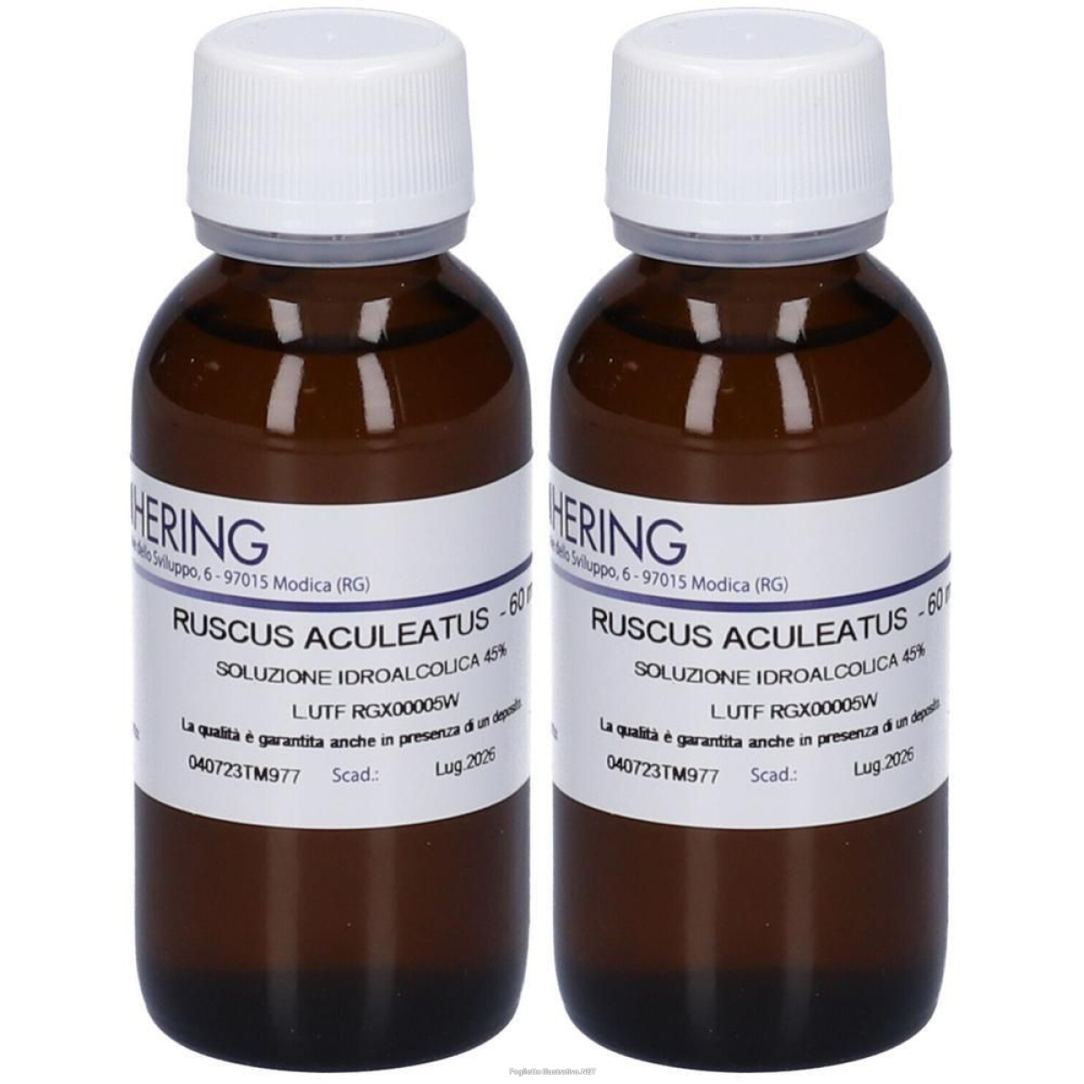 Trova prezzi di hering ruscus aculeatus tintura madre 2x60 ml e compra online