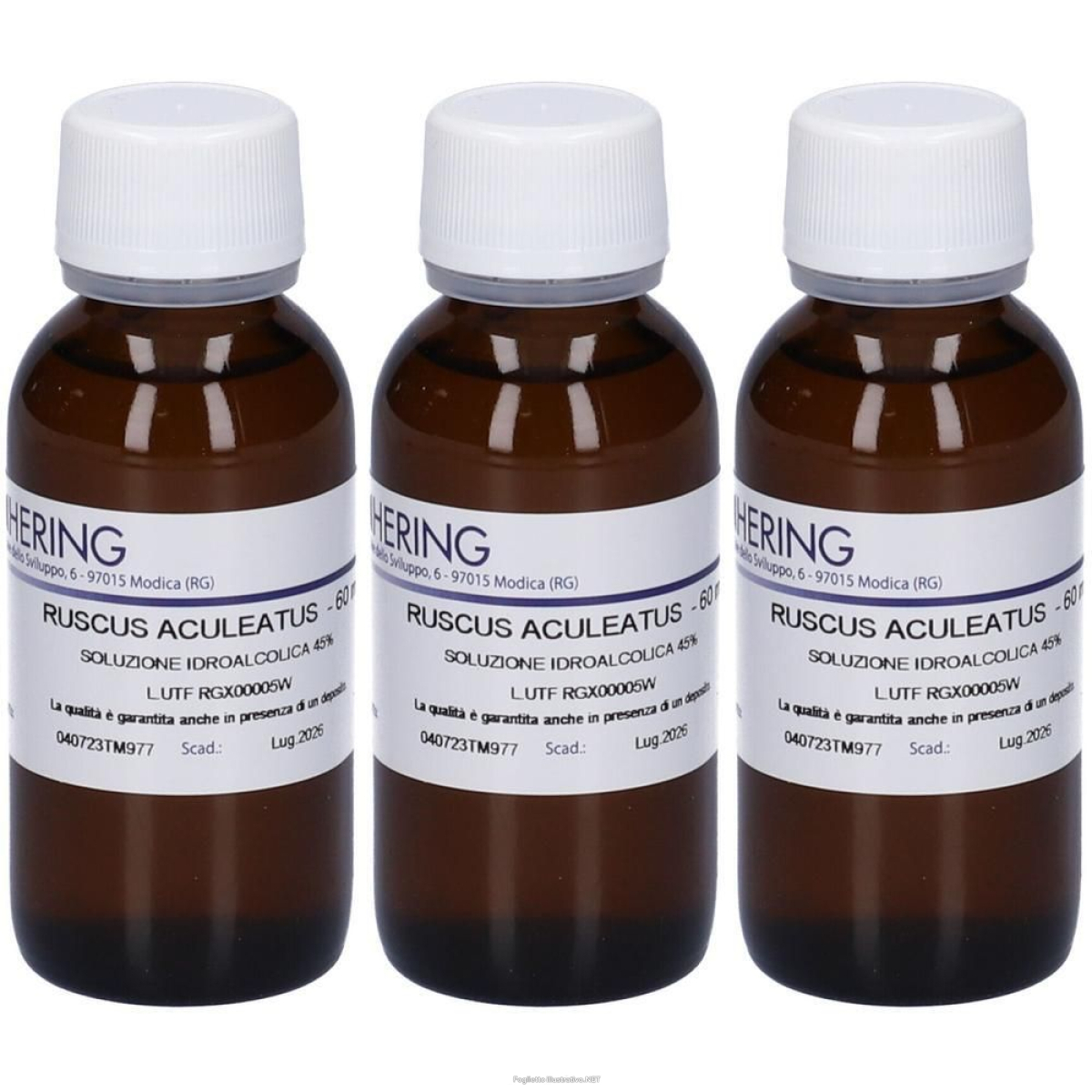 Trova prezzi di hering ruscus aculeatus tintura madre 3x60 ml e compra online