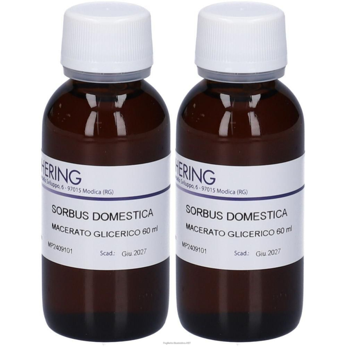 Trova prezzi di hering sorbus domestica macerato glicerico 2x60 ml e compra online