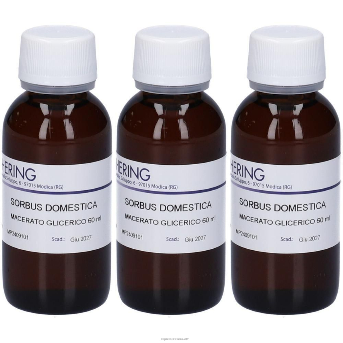 Trova prezzi di hering sorbus domestica macerato glicerico 3x60 ml e compra online