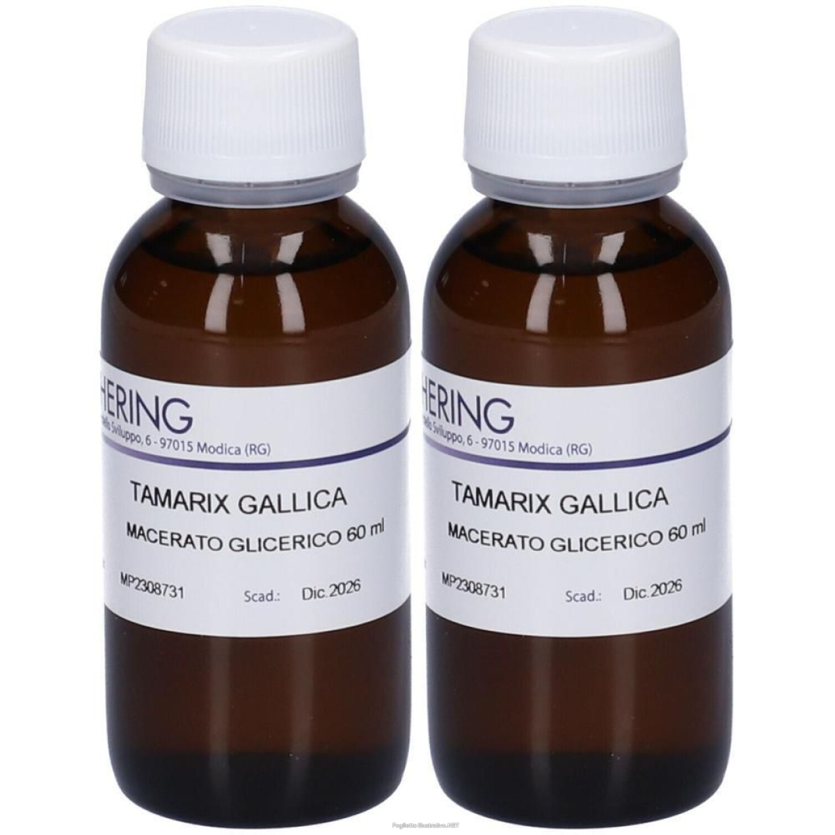 Trova prezzi di hering tamarix gallica germoglimog macerato glicerico 2x60 ml e compra online
