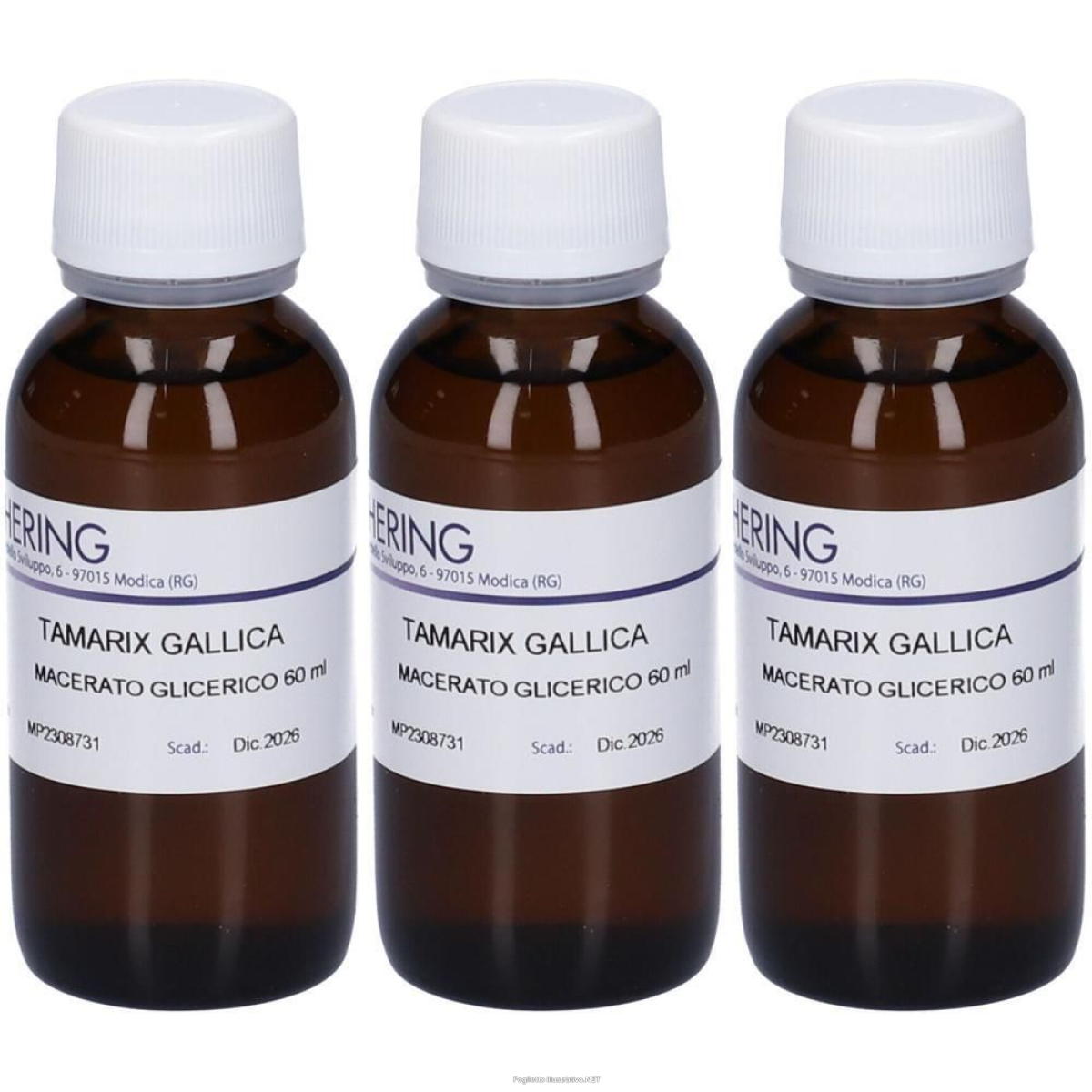 Trova prezzi di hering tamarix gallica germoglimog macerato glicerico 3x60 ml e compra online