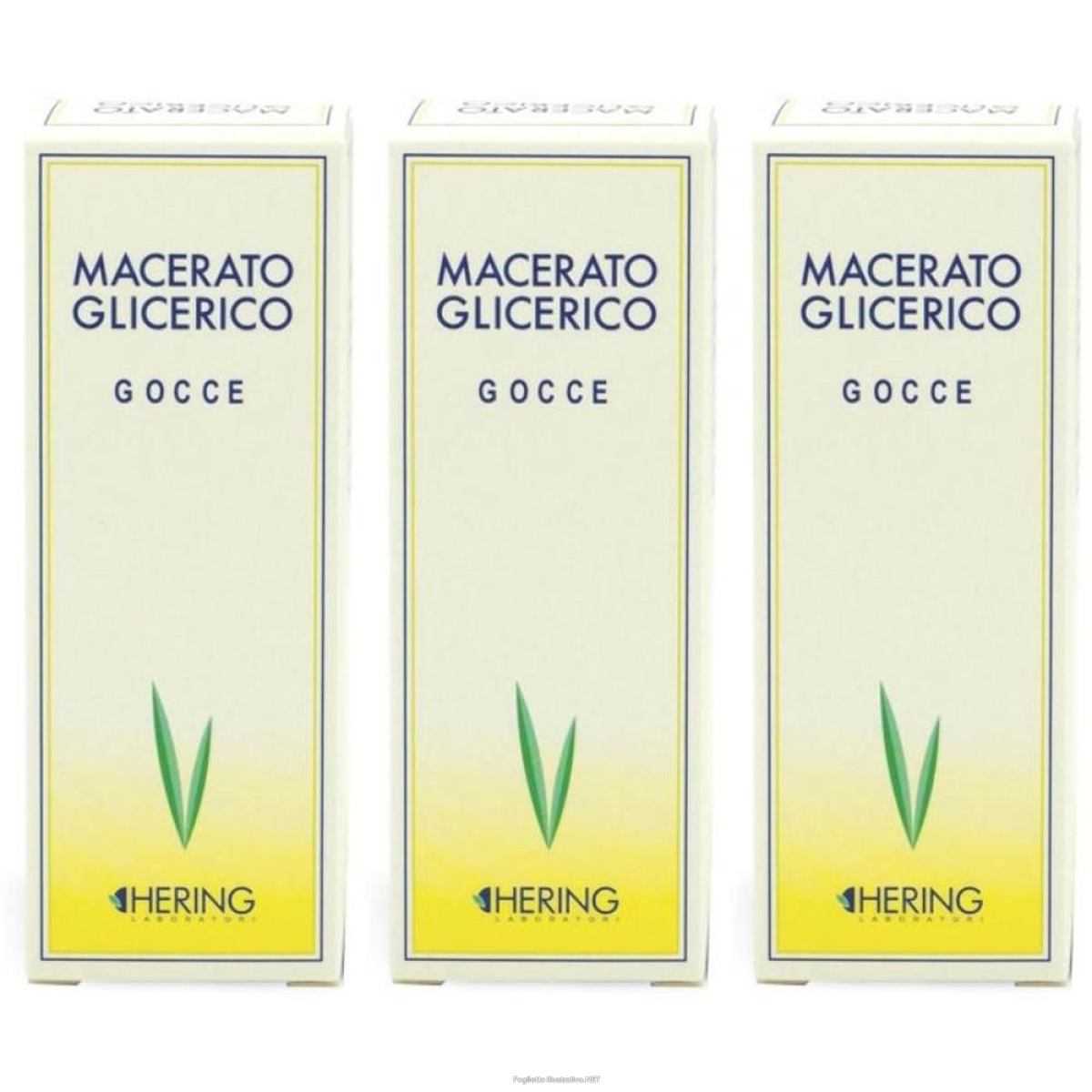 Trova prezzi di hering tilia tomentosa gemme macerato glicerico gocce 3x60 ml or e compra online