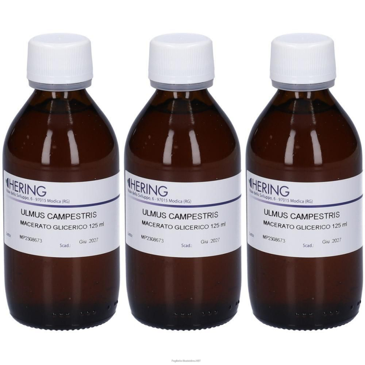 Trova prezzi di hering ulmus camp macerato glicerico gemme 3x125 ml e compra online