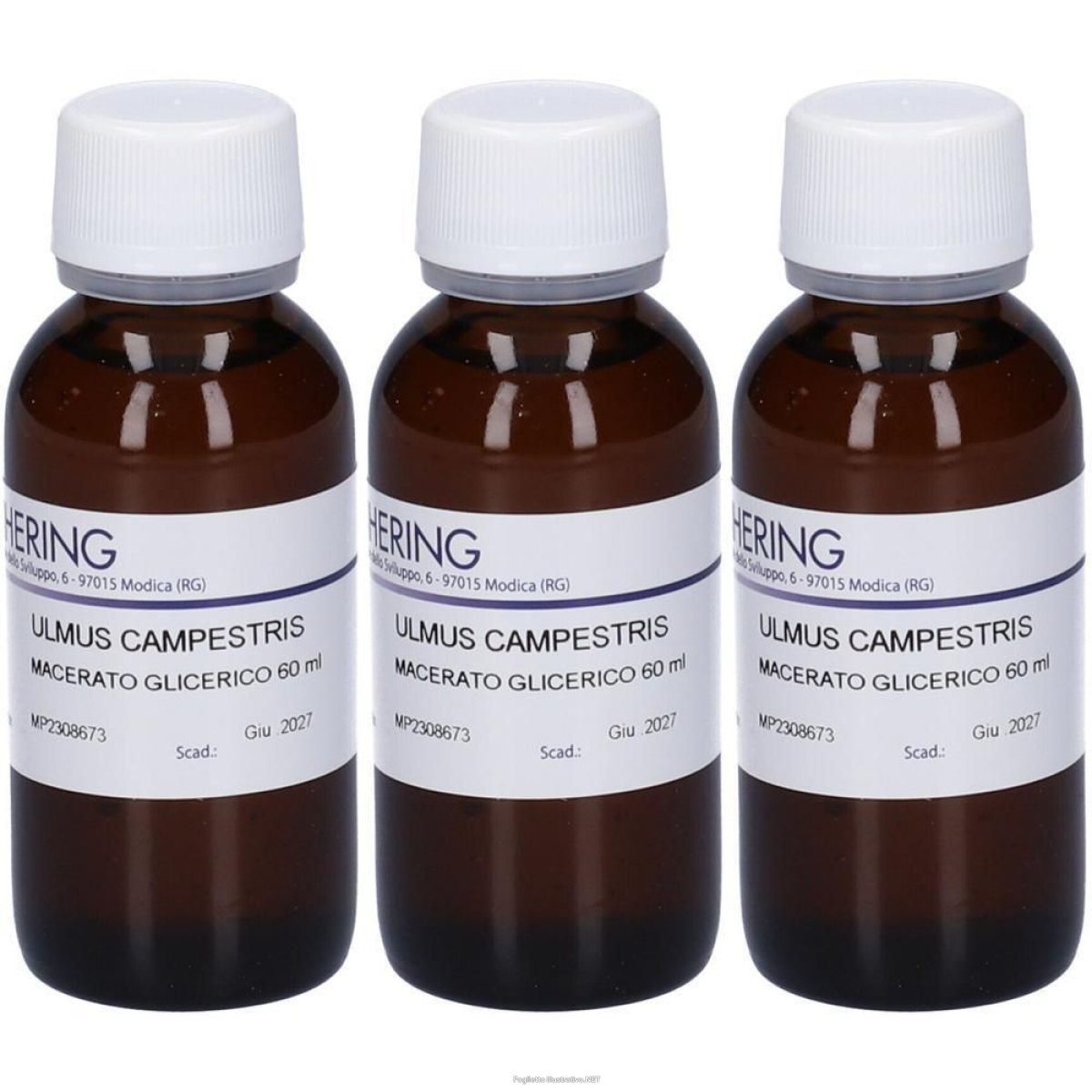 Trova prezzi di hering ulmus campestris gemmeme macerato glicerico 3x60 ml e compra online