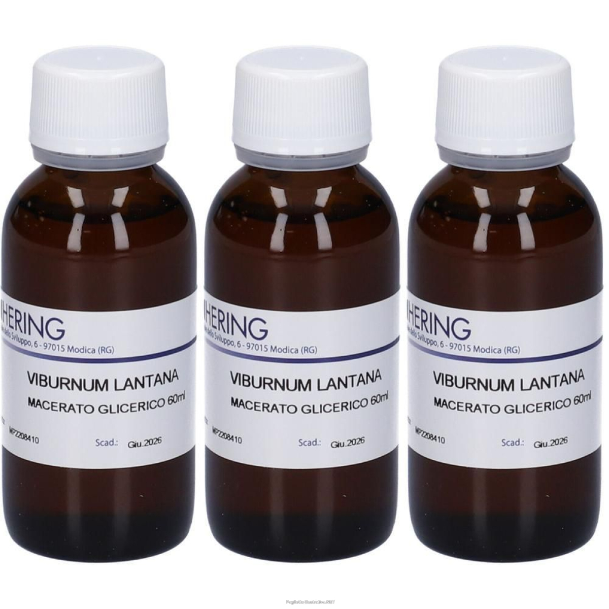 Trova prezzi di hering viburnun lantana macerato glicerico 3x60 ml e compra online