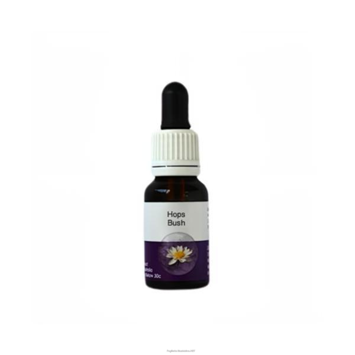Trova prezzi di hops bush ess 15ml aust 4805 e compra online