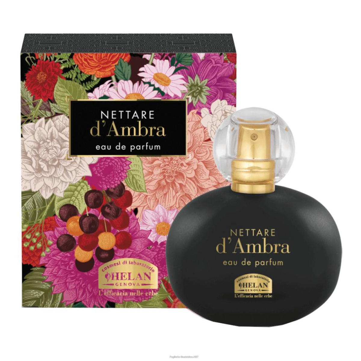 Cerca Offerte di i profumi di helan nettare d'ambra eau de parfum 10 ml e acquista online