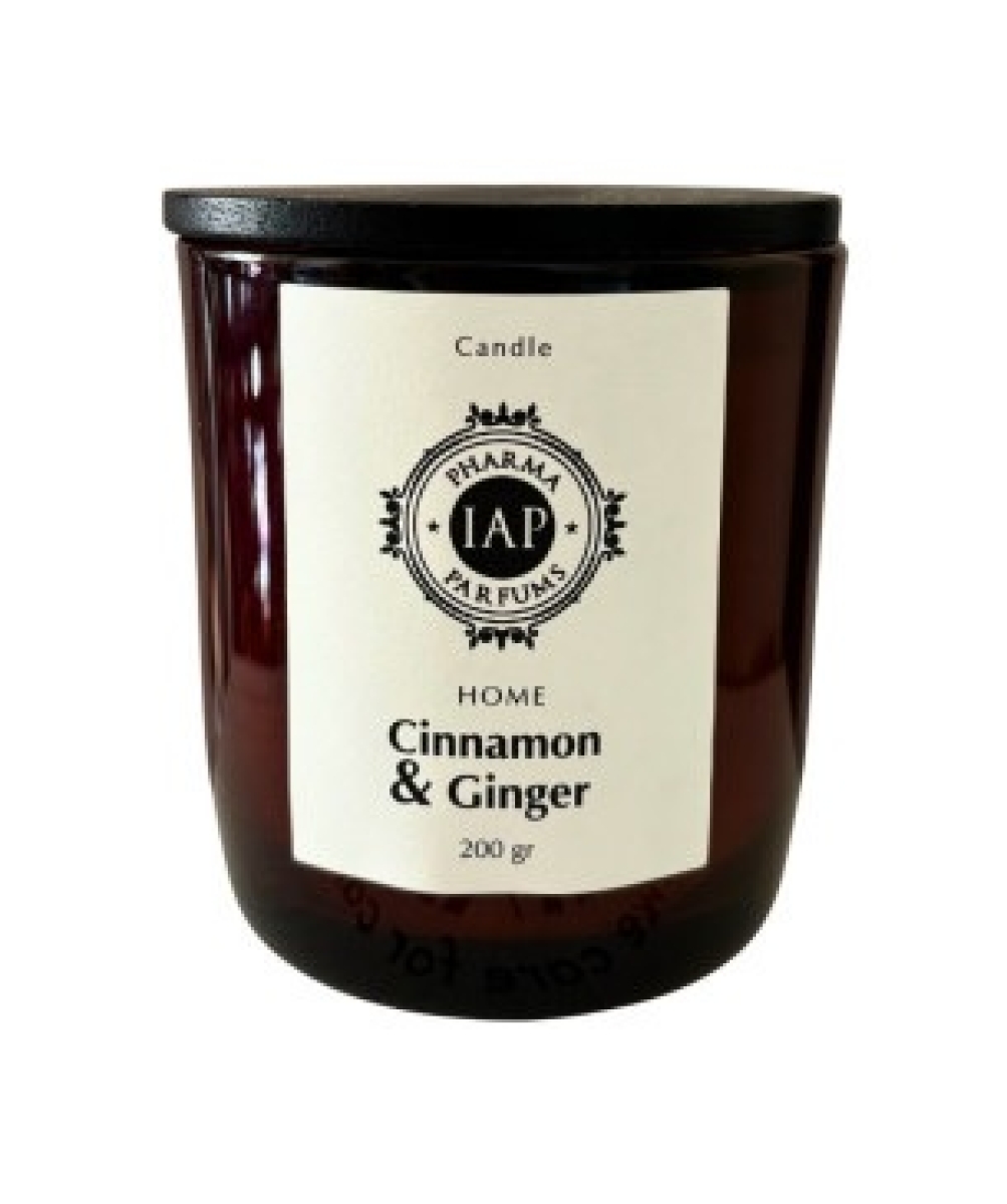 Cerca Offerte di Iap home cinnamon & ginger candela profumata per ambienti 200 grammi e acquista online