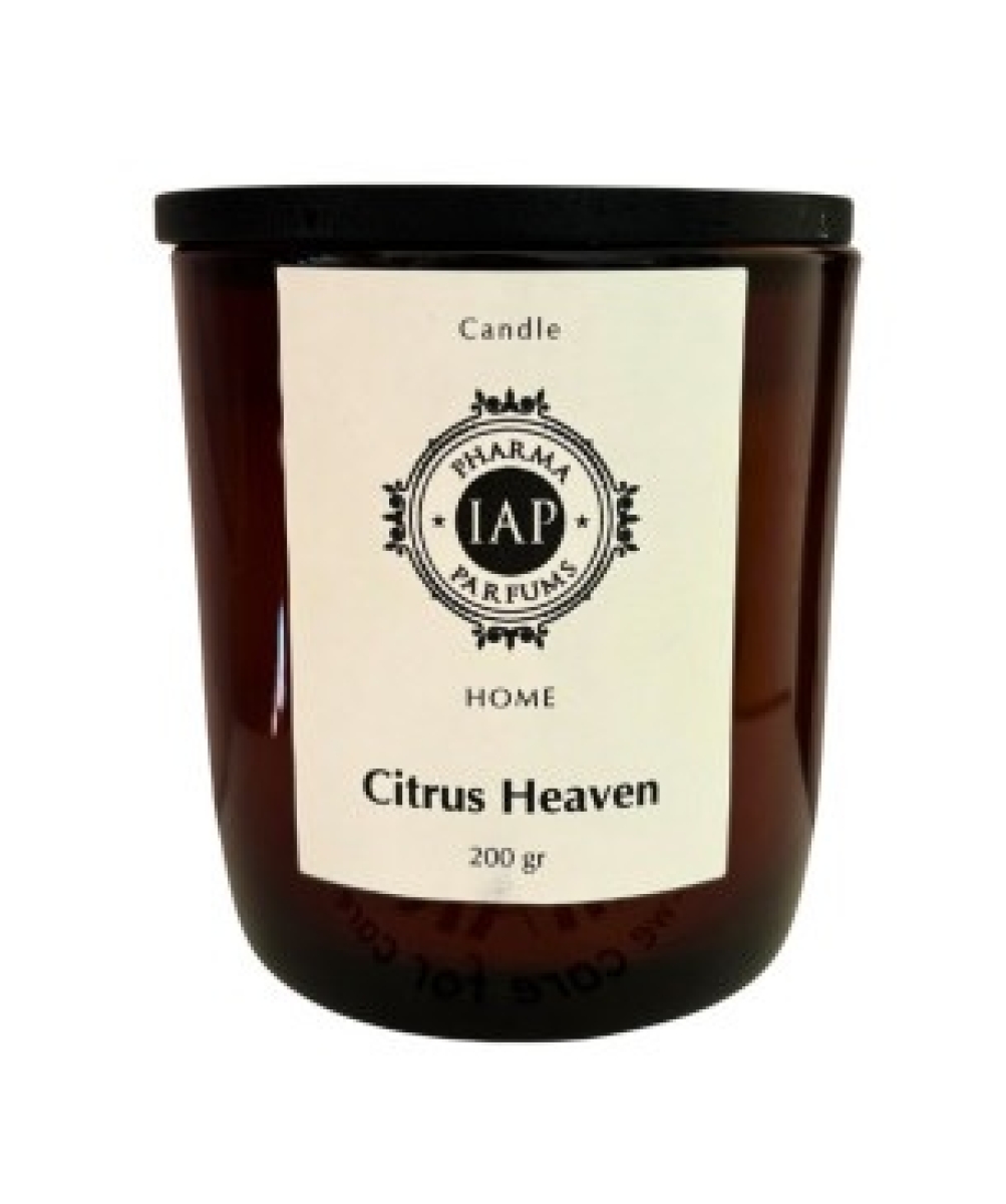 Cerca Offerte di Iap home citrus heaven candela profumata per ambienti 200 grammi e acquista online