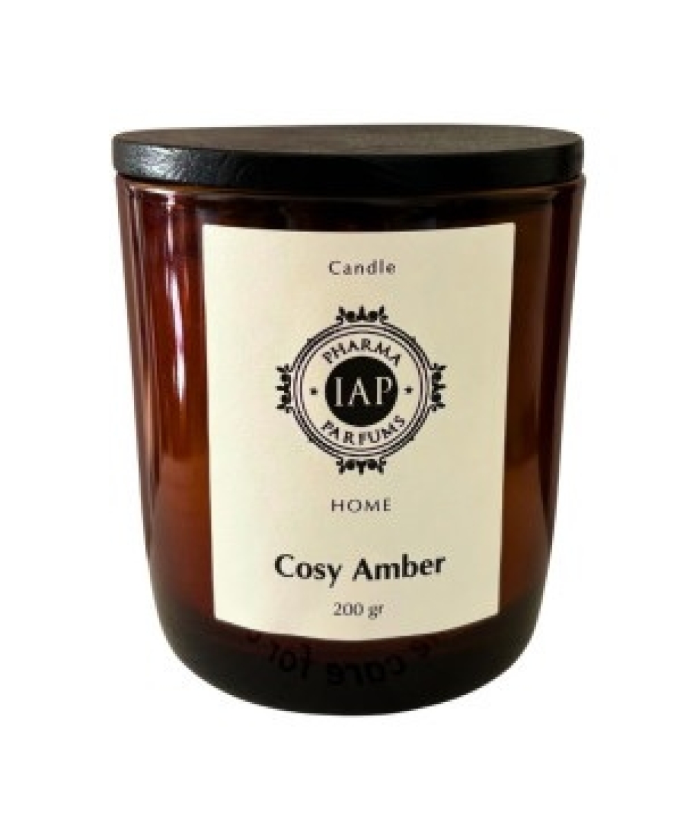 Cerca Offerte di Iap home cosy amber candela profumata per ambienti 200 grammi e acquista online